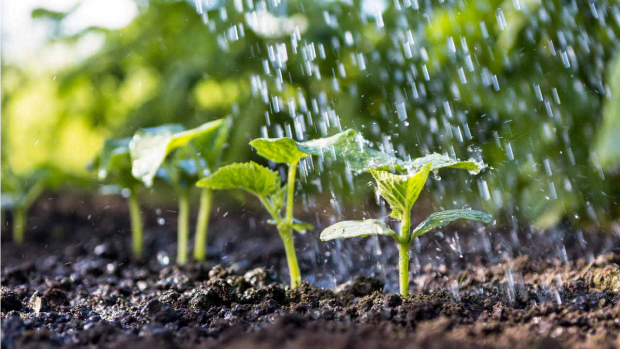 agricultura