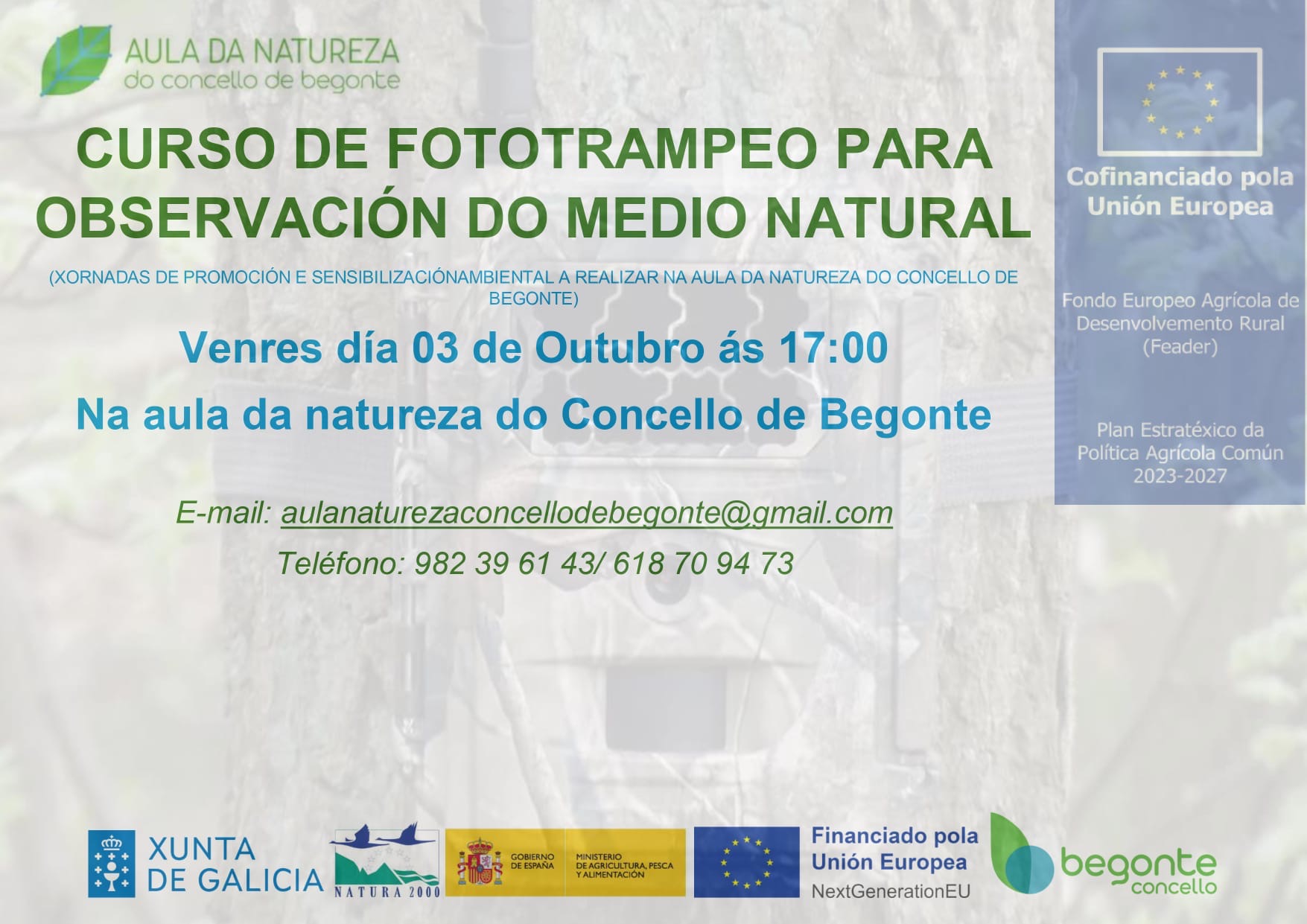 curso