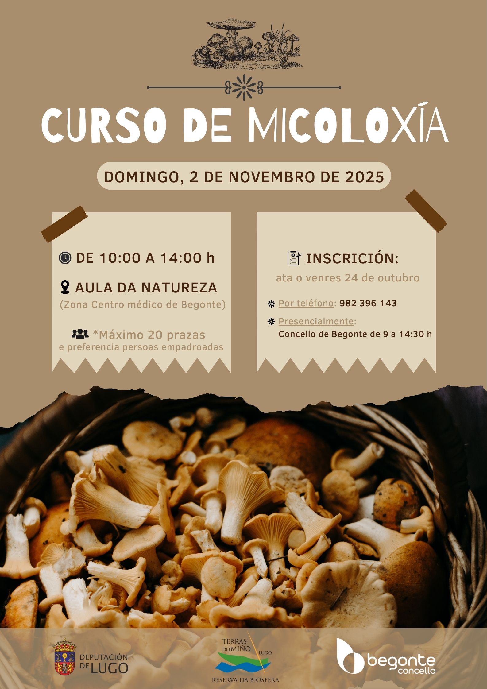 micoloxia