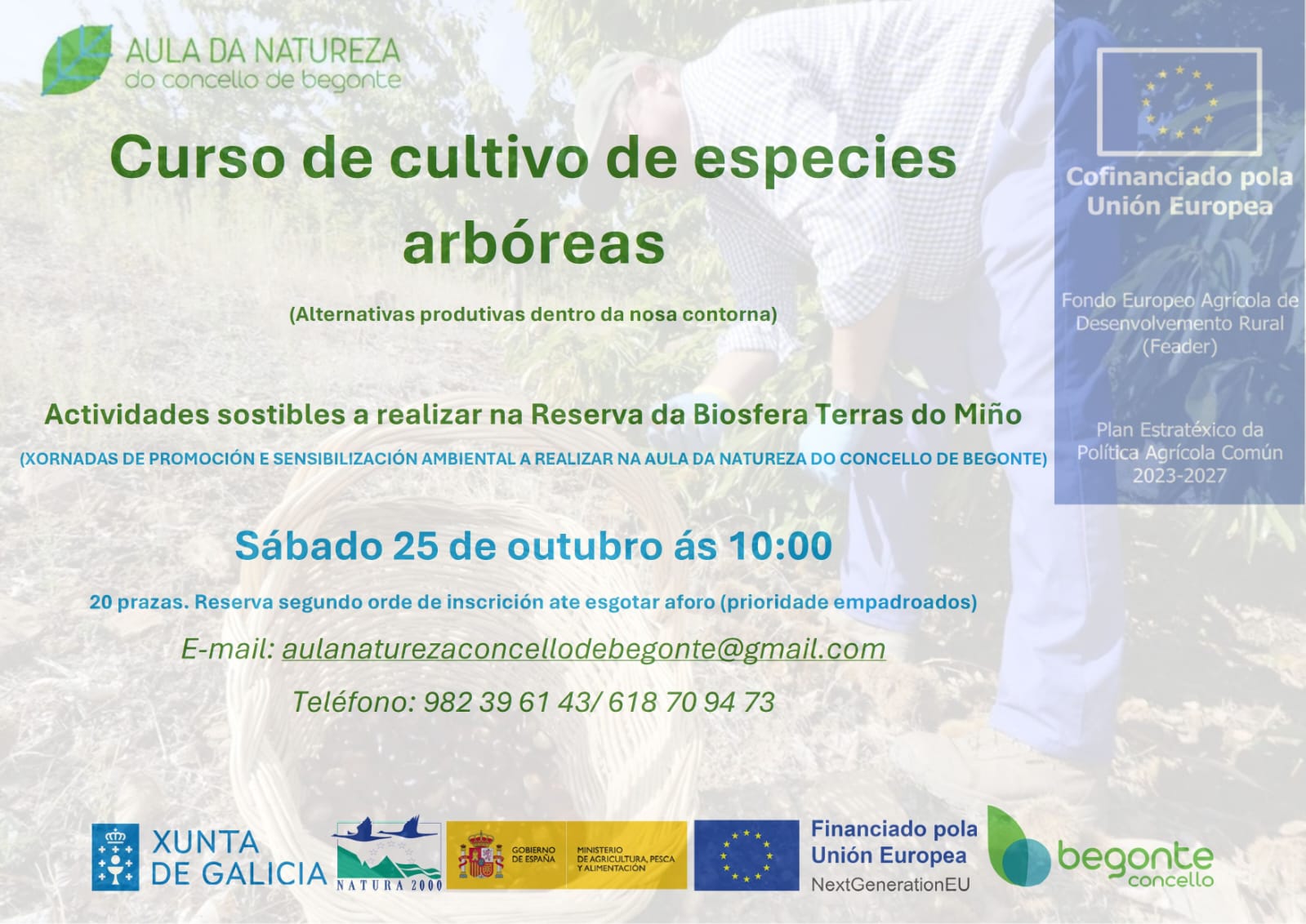 curso