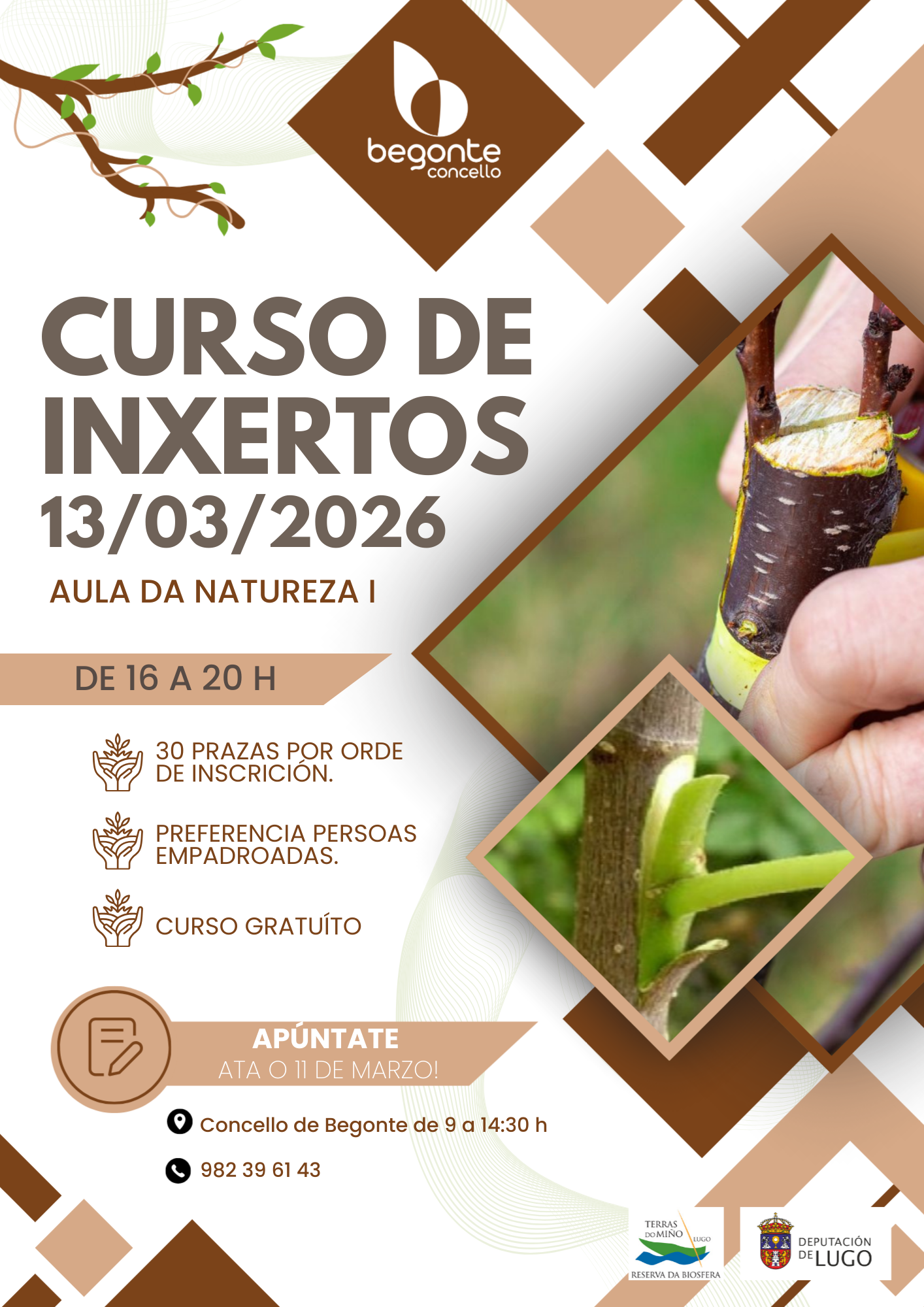 curso inxertos