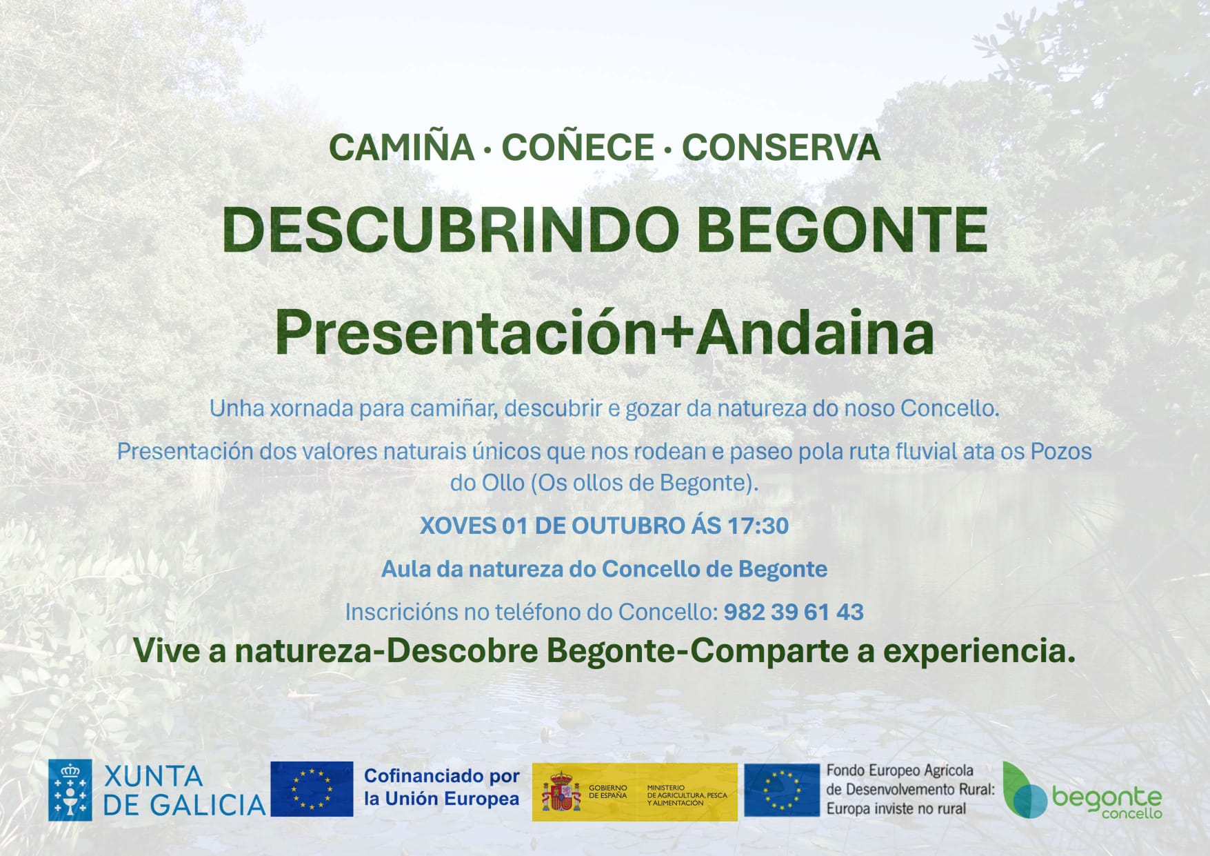 andaina