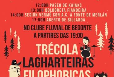 Octava edición del Festival 27373