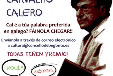 CAL É A TÚA PALABRA PREFERIDA NA NOSA LINGUA? 