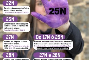 25N - BEGONTE EN NEGRO