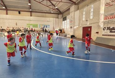 clausura actividades