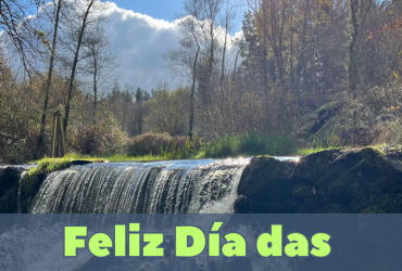 feliz dia das letras galegas