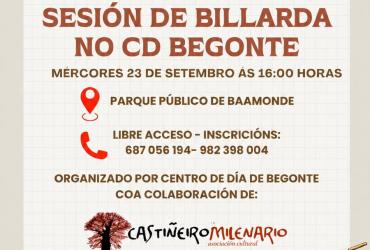 cartel billarda